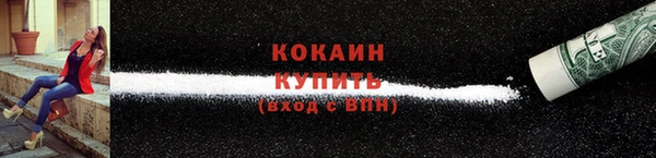 крисы Белокуриха