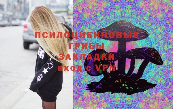 герыч Богородск