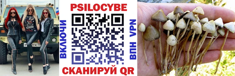 Псилоцибиновые грибы GOLDEN TEACHER  Невьянск 